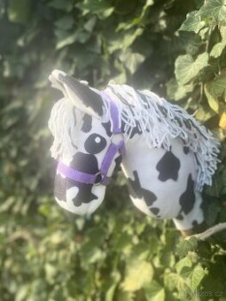 Hobby horse