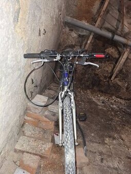 Motokolo 50 ccm