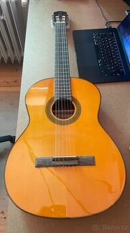 Klasika Takamine G1