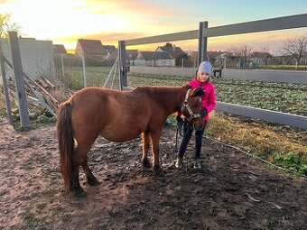 2v1 Pony extrémně hodná