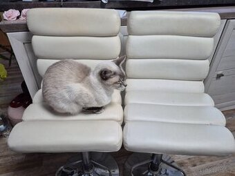 Bílé kožené barové židle barovky