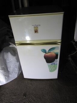 Lednice s mrazákem GOODES RDC085GW8, funkční