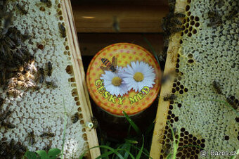 Rozvoz zdarma 25kg med. Praha-Brno-Kromeriz