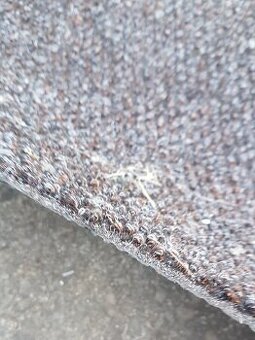 Kvalitní a těžký koberec do prodejny