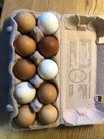 Domácí vejíčka