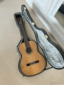 Akustická kytara Washburn C80S s pouzdrem - 1