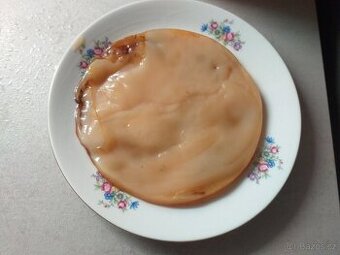 Kombucha