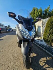 Honda Forza 300 r.v.2020