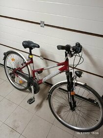 Kolo dámské Leader Fox