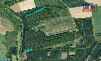 Prodej unikátních lesních pozemků v katastrálním území Hodyn