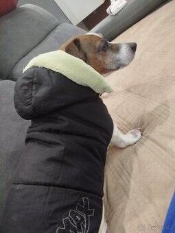 Psí obleček pro menší plemeno, cca 7-8 kg