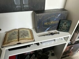 Hogwarts Legacy Collectors Edition