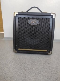 Peavey Ecoustic E20 Kombo pro elektroakustické nástroje