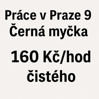 Práce v Praze 9 – černá myčka