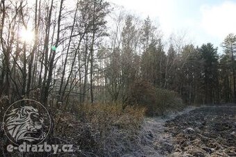 Lesního pozemku, podíl 1/12, k.ú. Týniště nad Orlicí, okr.: