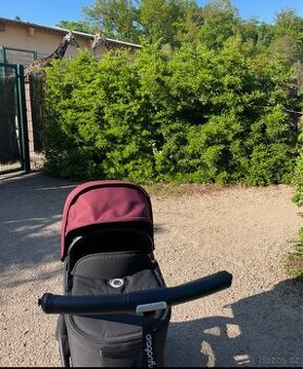 Bugaboo Dragonfly