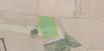 Zemědělská půda, prodej, Velká Bučina, Velvary, Kladno