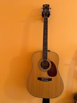 Cort earth 70E W NS