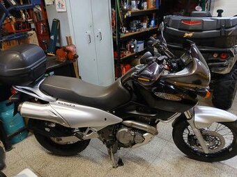 Suzuki Freewind 650 - 1