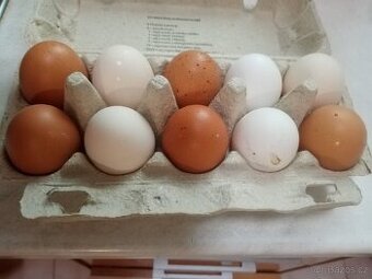 Prodáme domácí vejce
