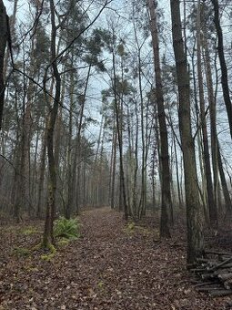 Prodám pozemky v k.ú. Břehy