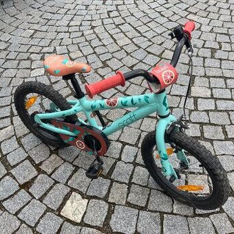 Scott kolo junior 16