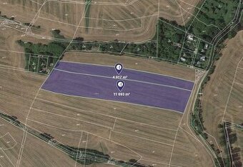 Prodej podílu 1/2 pole 8 305 m², Dolní Bousov