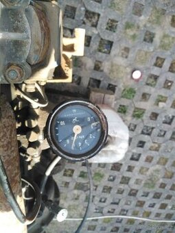 Avie - 1