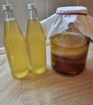Kombucha - 1