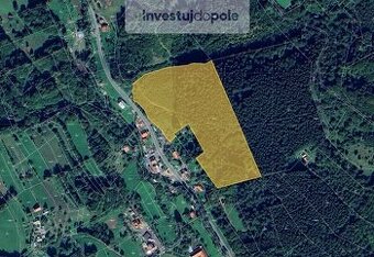 Prodej lesu v k.ú. Huslenky