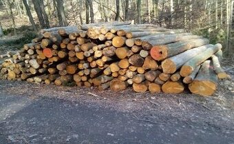 Tvrdé palivové dřevo buk