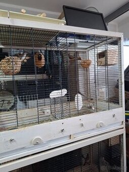 Prodám žebříčky a chůvičky