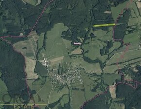 Aukce 0,52 ha lesních pozemků v k.ú. Doubravy - 1