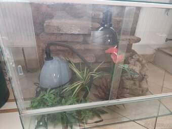 Terarium