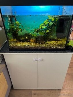 Prodám akvárium 80 litrů – kompletní set s rostlinami, skříň