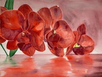 Obraz Červené orchideje, akvarel