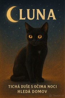 Kočička Luna - 5-6 měsíců