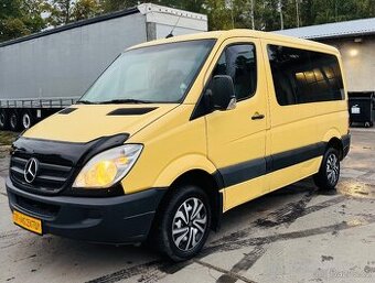 🚚 Mercedes-Benz Sprinter 906, 9 míst 🚚