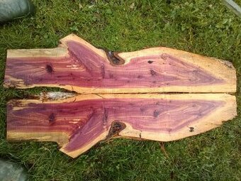 Fošny jalovec viržinský