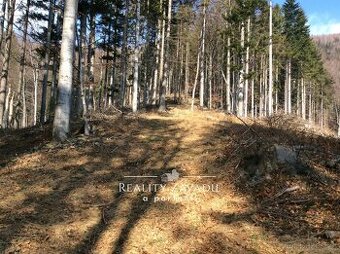 Prodej lesa 27 814 m², Morávka, ev.č. 00984 - 1