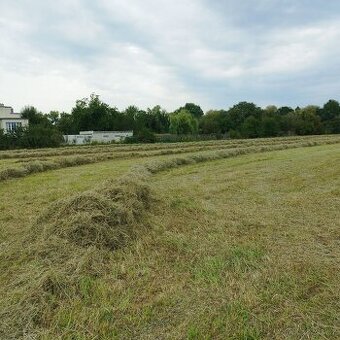 Prodám malé hranaté balíky sena
