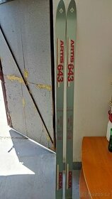 LYŽE ARTIS-DELTA 643- bez vázání