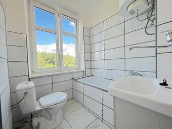 Pronájem startovacího bytu 1+kk, 34 m2 - střed Znojma