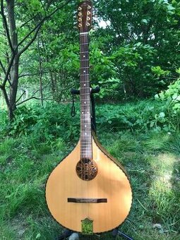 Irish Bouzouki - 1