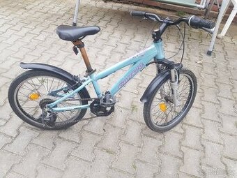 Dětské kolo 20 CARRERA