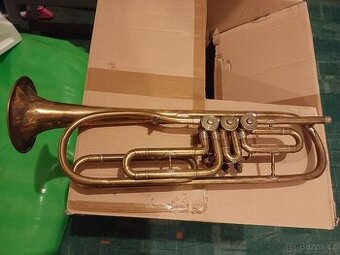 Trubka Kraslice Amati