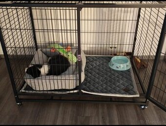 Klec pro psy Tabby L