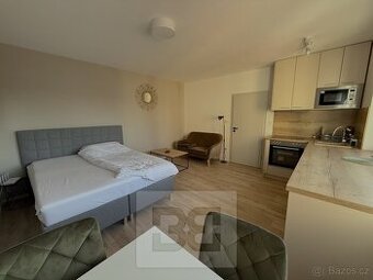 Pronájem bytu 1+kk 27 m², České Budějovice 6, ev.č. N08663 - 1