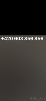 Zlate číslo 603 856 856