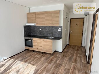 Pronájem 1+1, 43 m²,nová kuchyň i koupelna,balkon,sklep - Aš